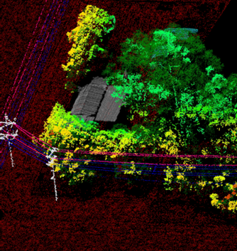 Forestry Analysis